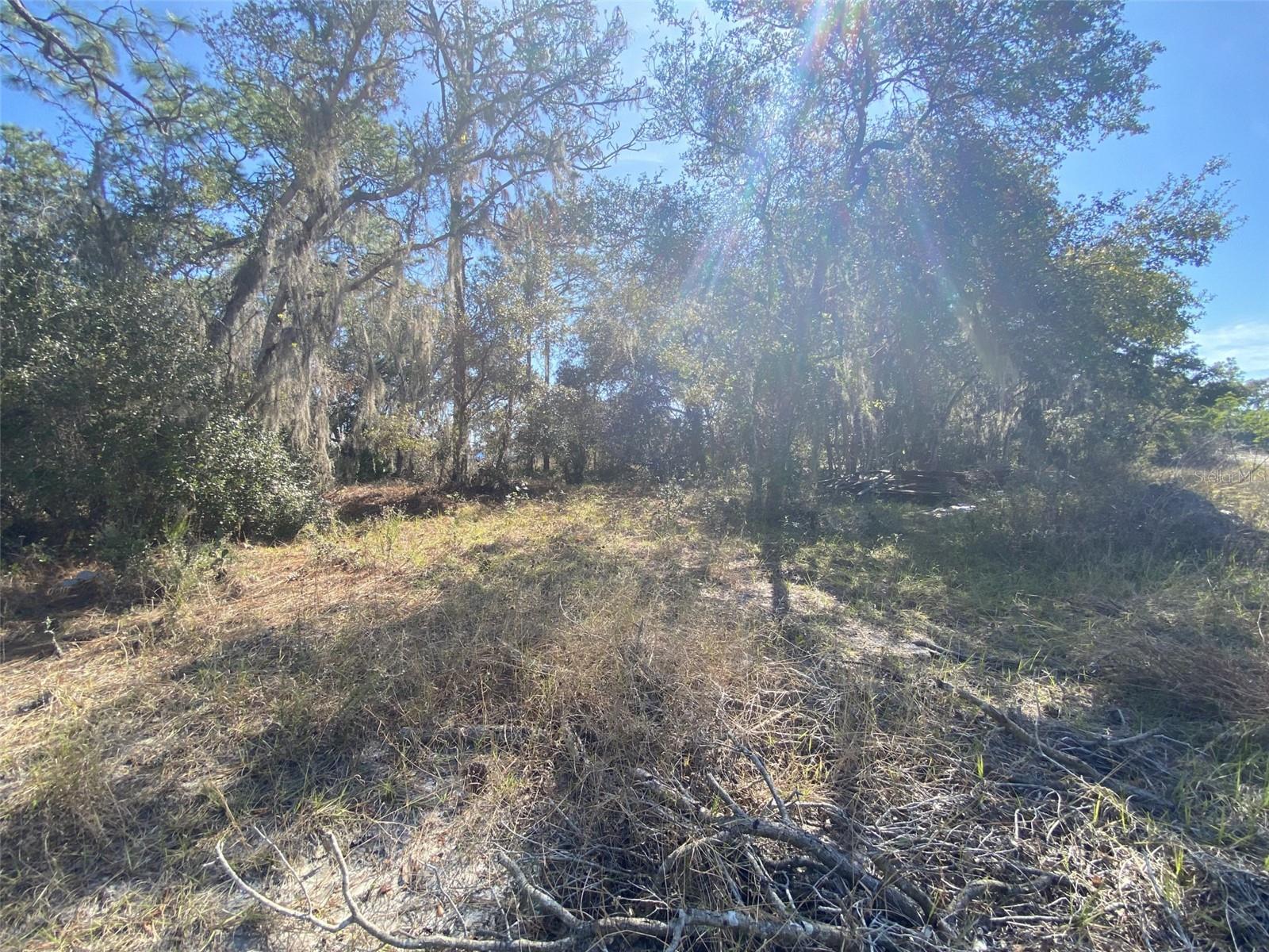 1203 VERNON LN, KISSIMMEE, FL