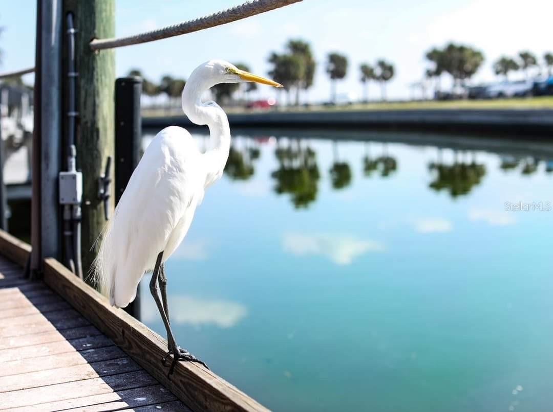 1100 MARCH DR, PORT CHARLOTTE, FL — photo 19