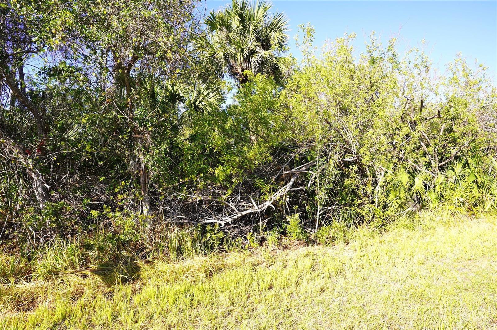 1100 MARCH DR, PORT CHARLOTTE, FL — photo 3