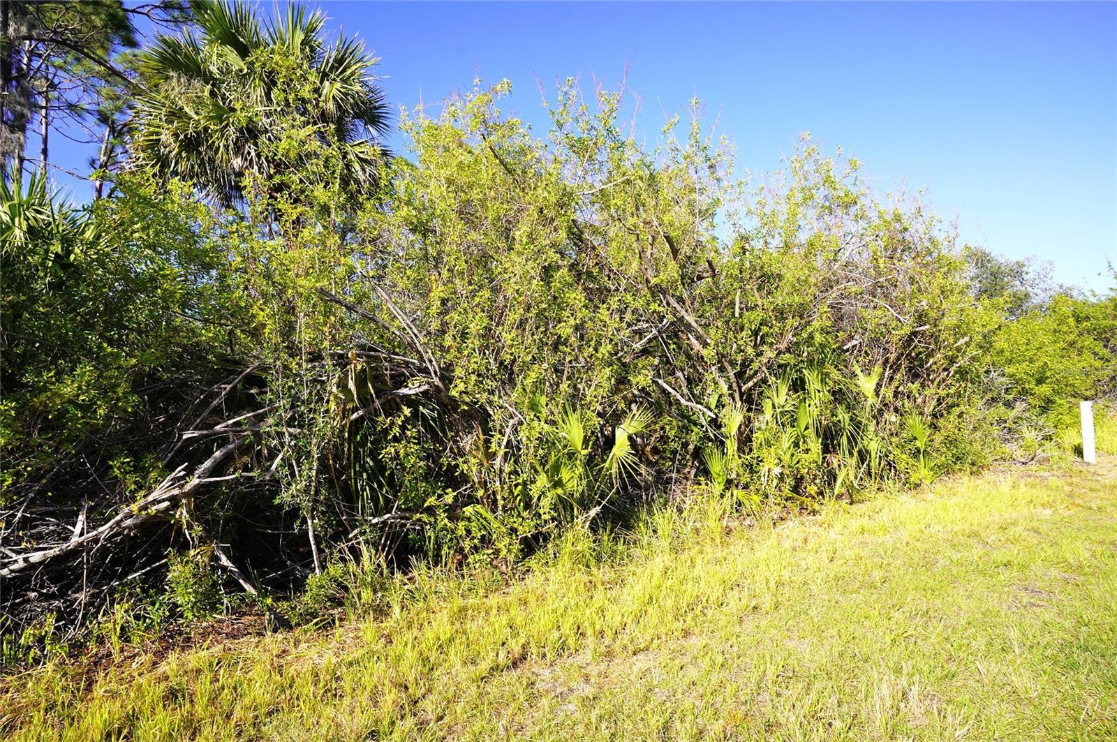 1100 MARCH DR, PORT CHARLOTTE, FL — photo 5