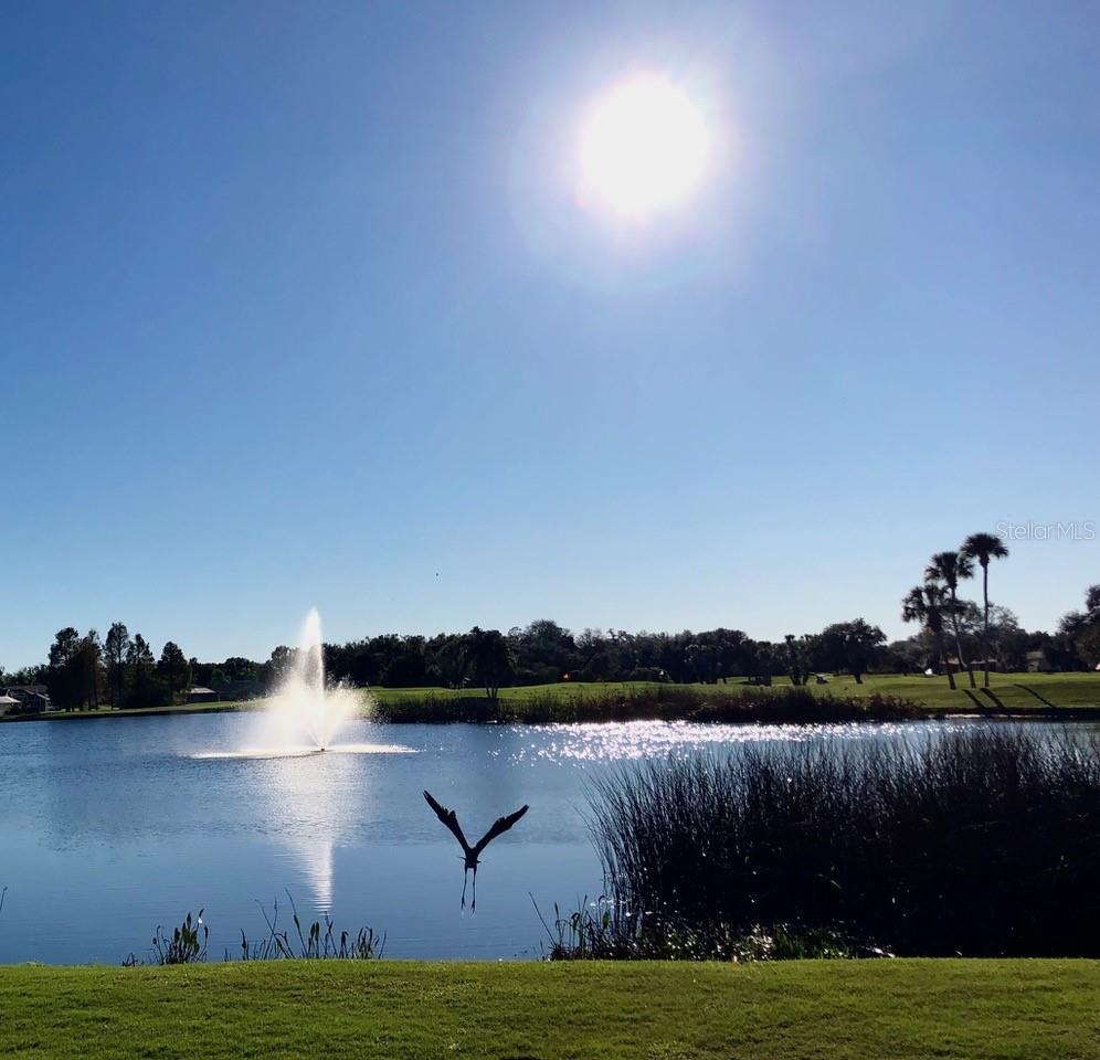6713 STONE RIVER RD #206, BRADENTON, FL — photo 54
