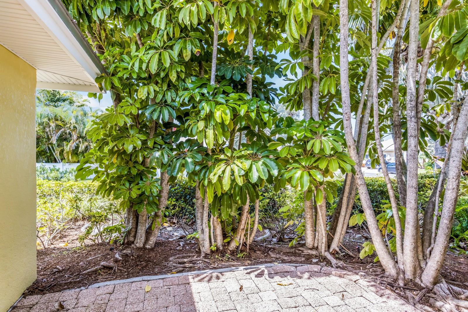 6606 HOLMES BLVD #3, HOLMES BEACH, FL — photo 30