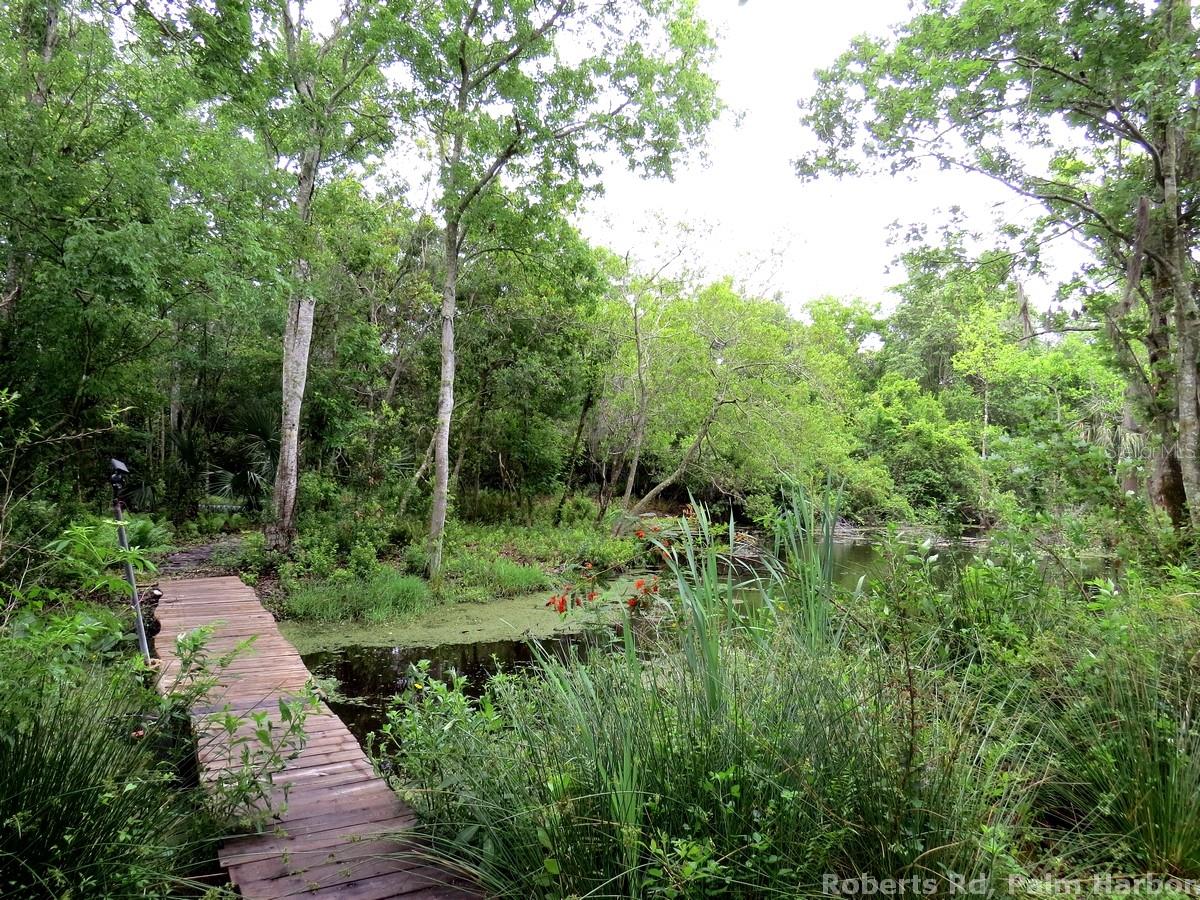 ROBERTS RD, PALM HARBOR, FL — photo 10