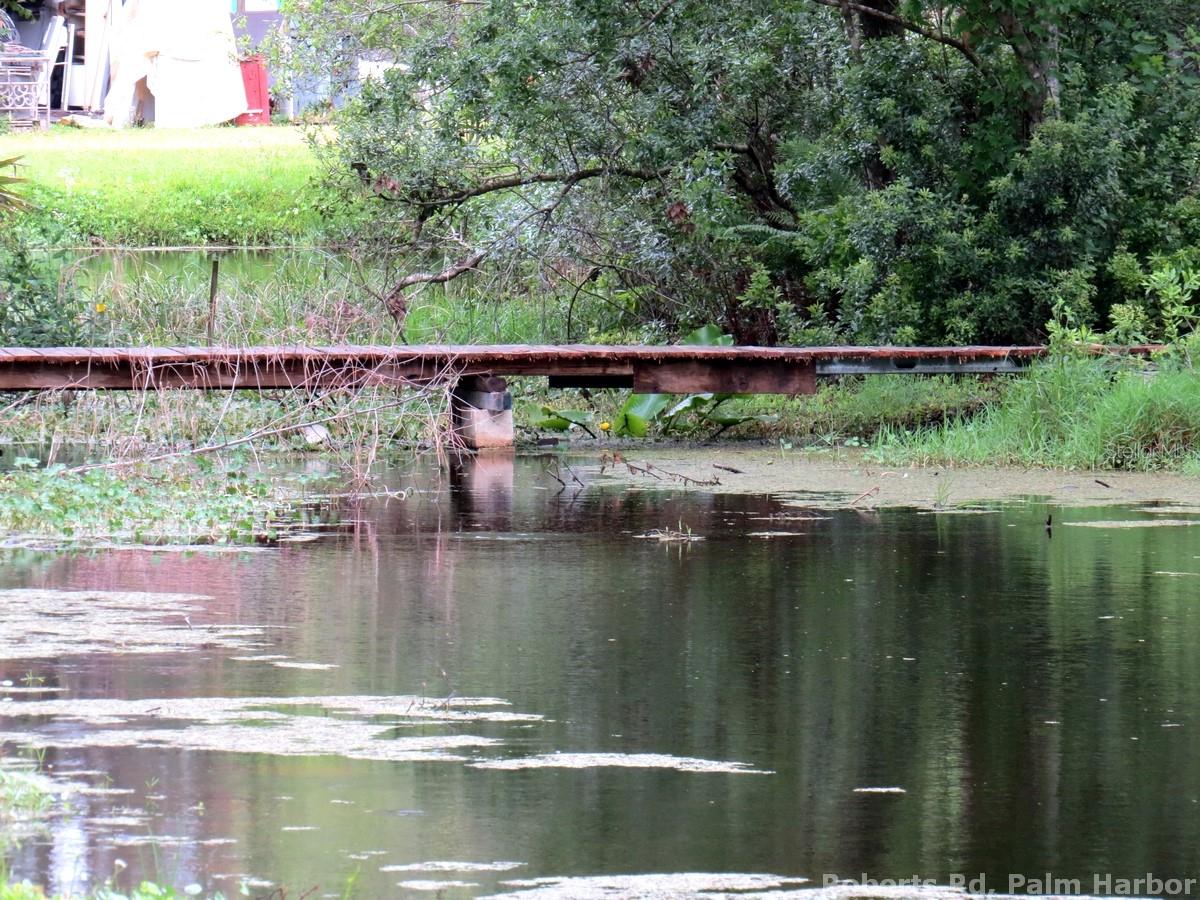 ROBERTS RD, PALM HARBOR, FL — photo 11