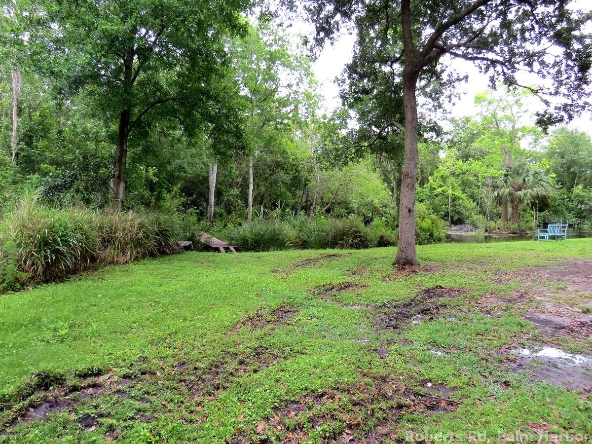 ROBERTS RD, PALM HARBOR, FL — photo 13