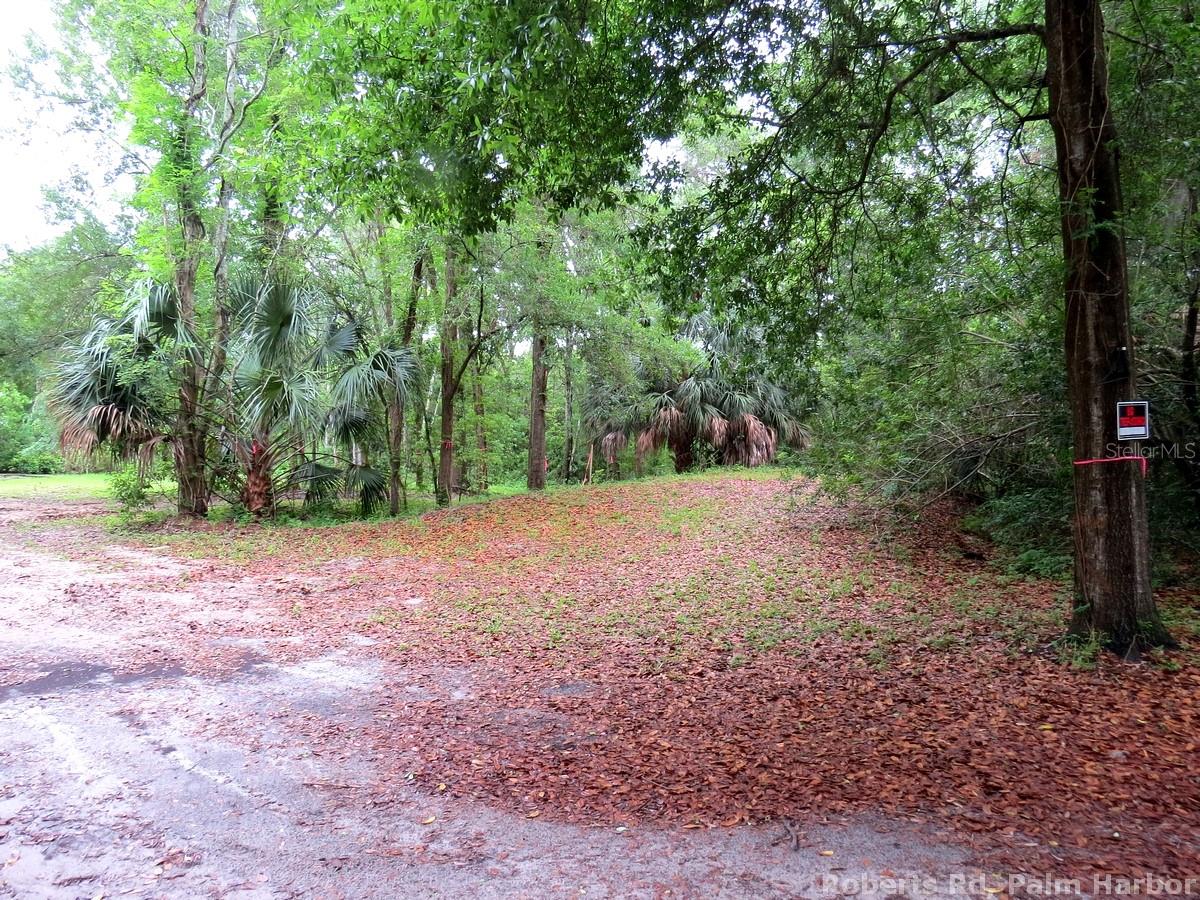 ROBERTS RD, PALM HARBOR, FL — photo 9