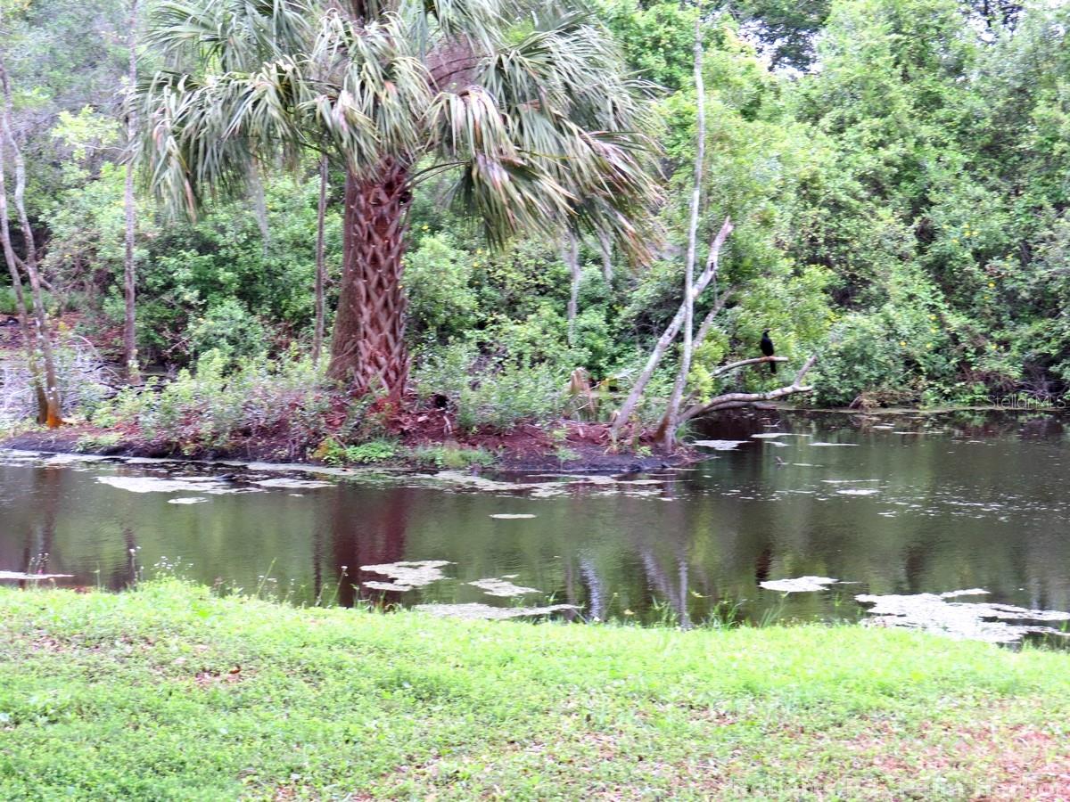ROBERTS RD, PALM HARBOR, FL — photo 10
