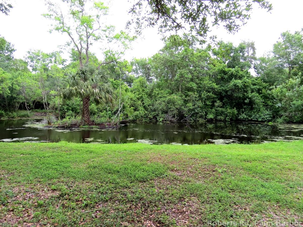 ROBERTS RD, PALM HARBOR, FL — photo 11