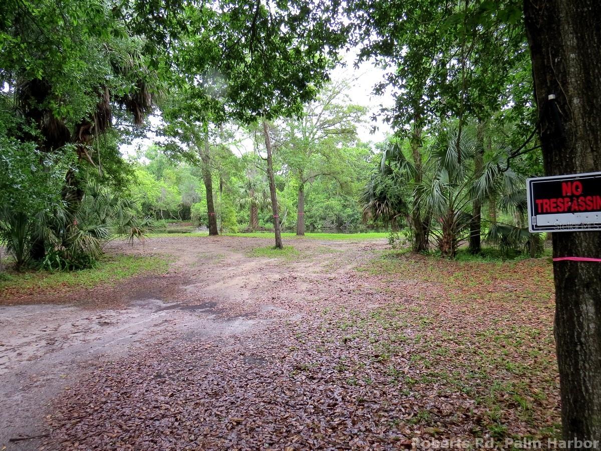 ROBERTS RD, PALM HARBOR, FL — photo 12