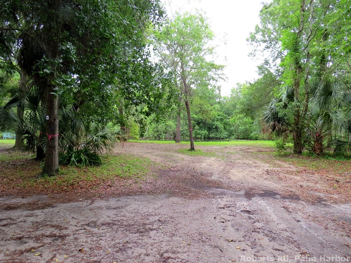 ROBERTS RD, PALM HARBOR, FL — photo 13