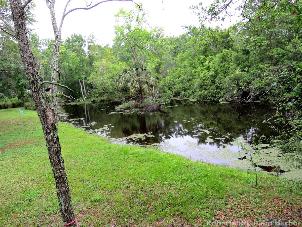 ROBERTS RD, PALM HARBOR, FL — photo 19