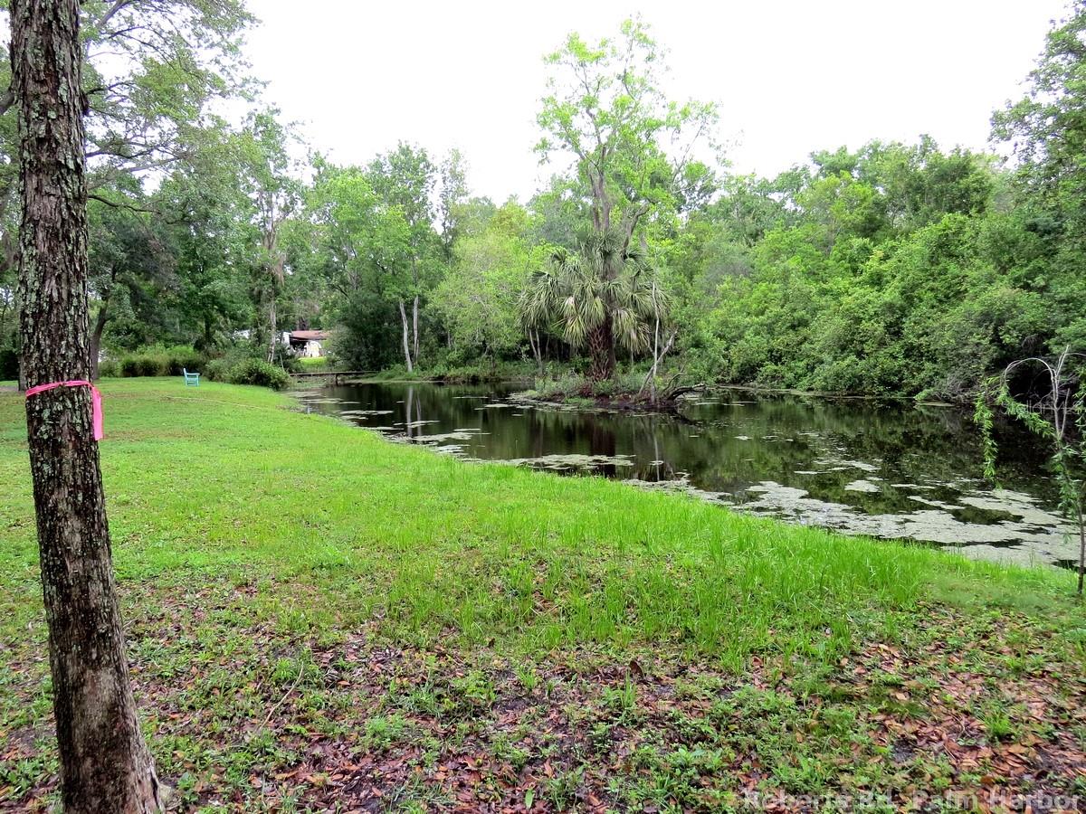 ROBERTS RD, PALM HARBOR, FL — photo 20