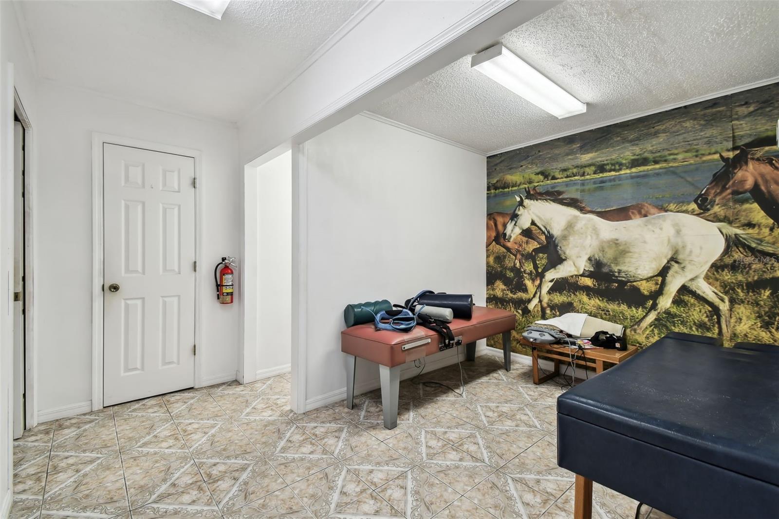 10129 LITTLE RD, NEW PORT RICHEY, FL — photo 49