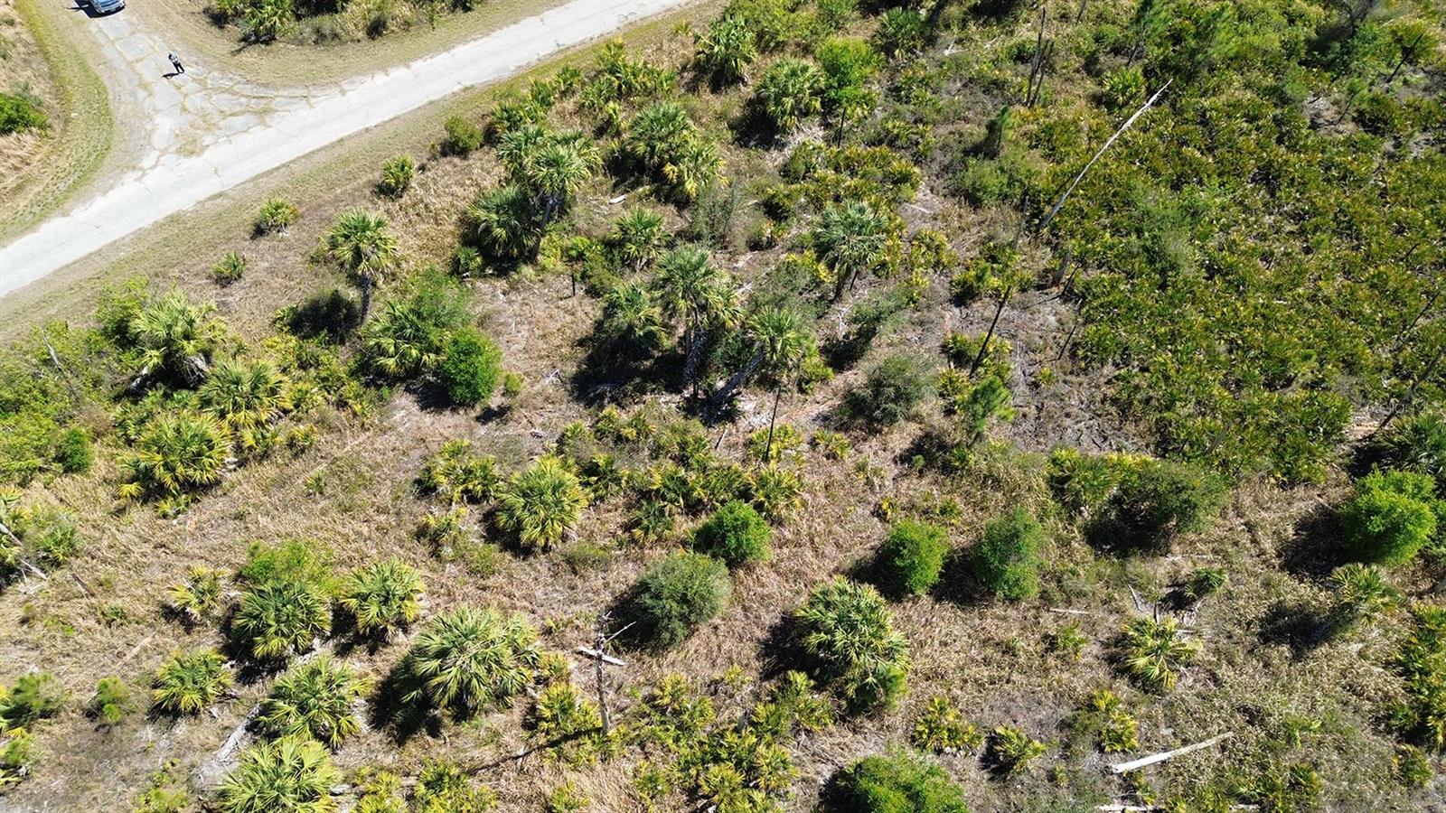 FARVIEW DR, NORTH PORT, FL — photo 5