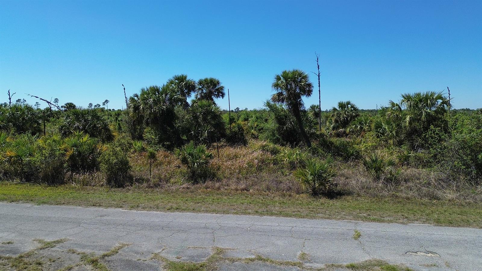 FARVIEW DR, NORTH PORT, FL — photo 10
