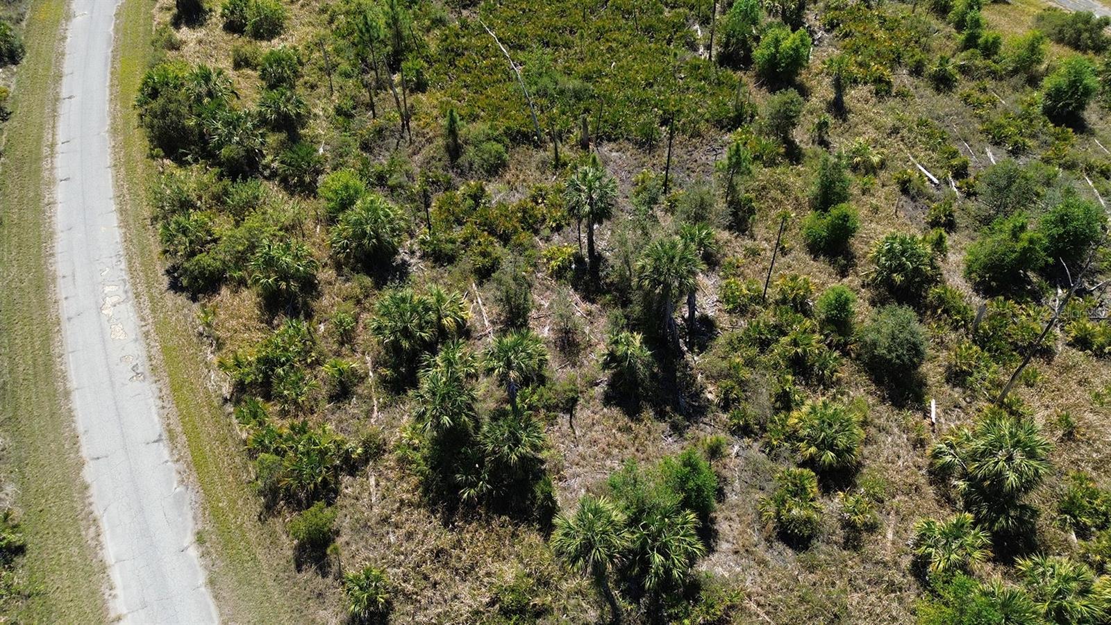 FARVIEW DR, NORTH PORT, FL — photo 11