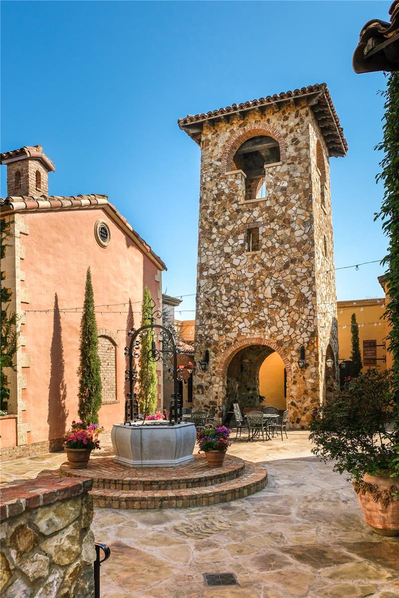16626 BOLSENA DR, BELLA COLLINA, FL — photo 40