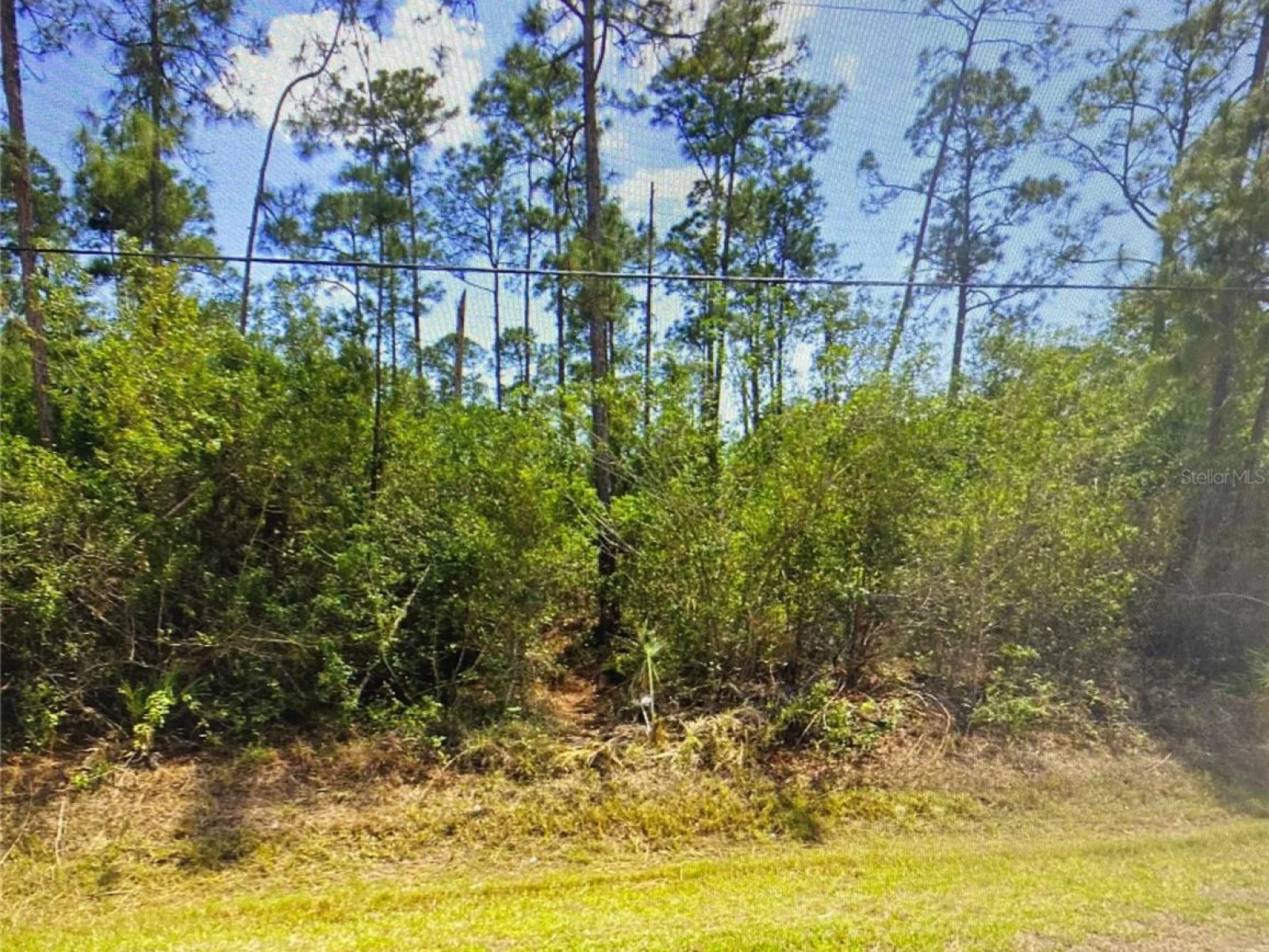 3063 SARGEANT ST, PORT CHARLOTTE, FL — photo 1