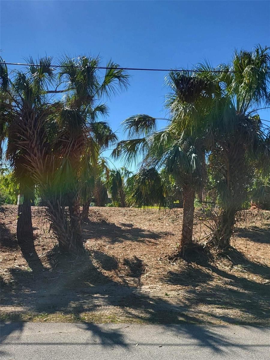 BENDIX TER, NORTH PORT, FL — photo 4