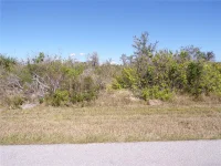 15547 MCCOMB CIR — photo 16