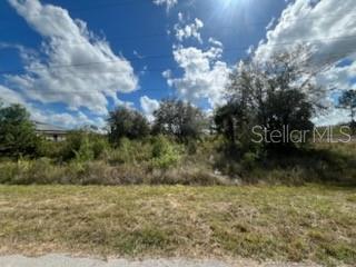 1928 VESPER CT, LEHIGH ACRES, FL