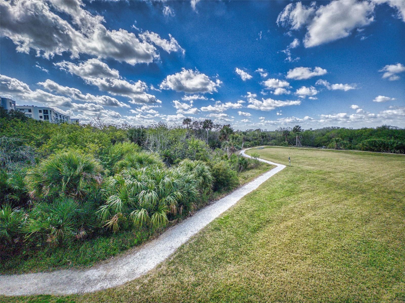 5300 S ATLANTIC AVE #6-206, NEW SMYRNA BEACH, FL — photo 5