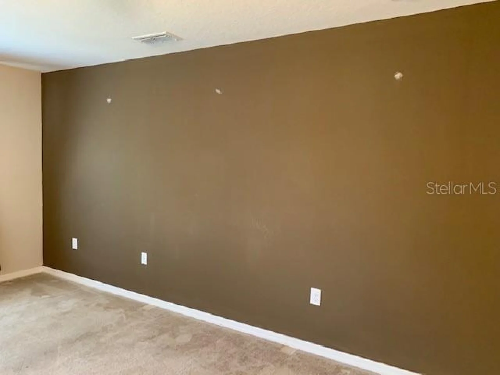 3742 MAIDENCAIN ST, CLERMONT, FL — photo 21