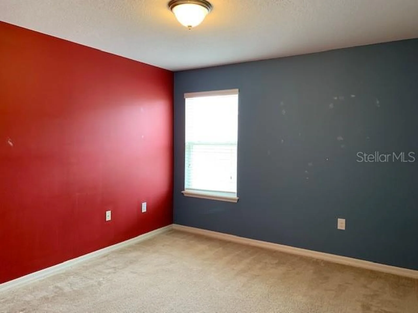 3742 MAIDENCAIN ST, CLERMONT, FL — photo 28