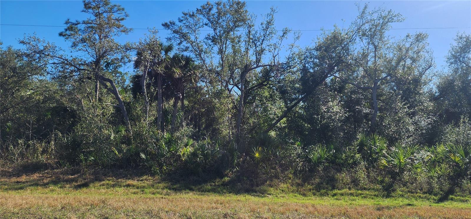 1173 BISCAYNE DR, PORT CHARLOTTE, FL — photo 5