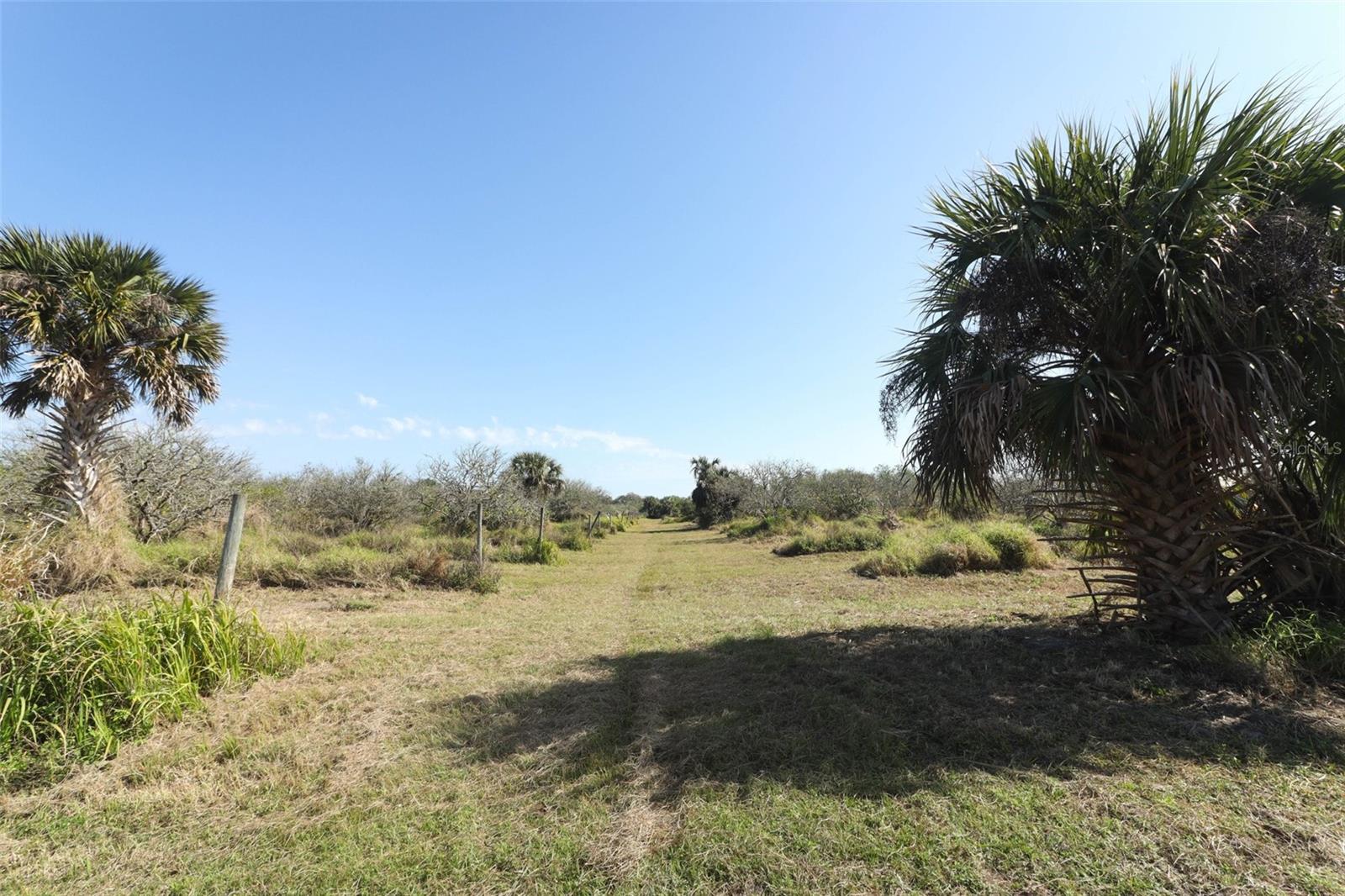 0 DAVIS RD, MIMS, FL — photo 30