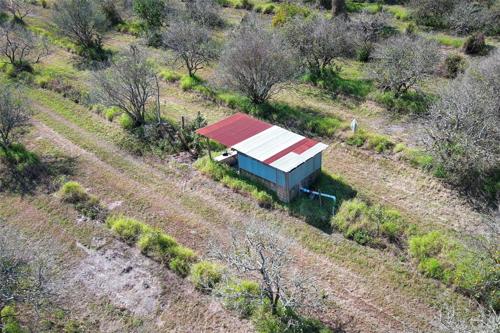 0 DAVIS RD, MIMS, FL — photo 34