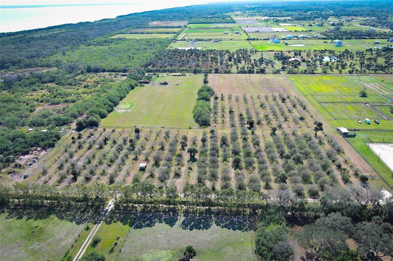0 DAVIS RD, MIMS, FL — photo 37