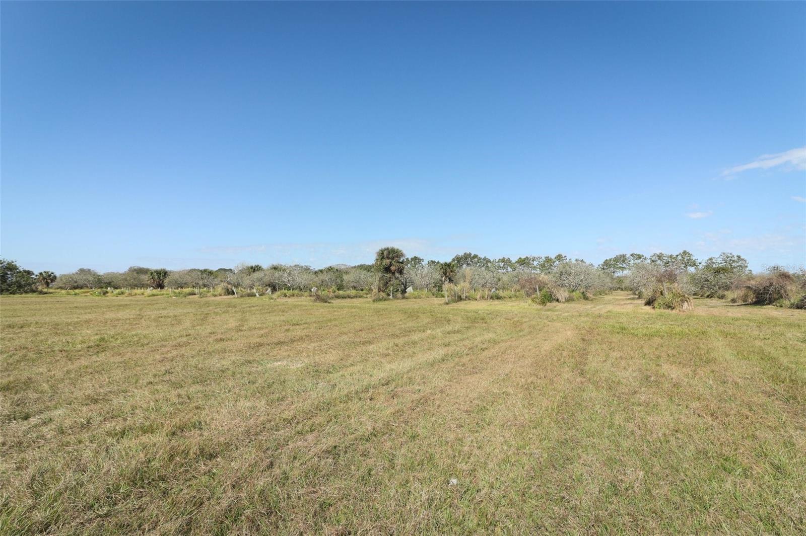 0 DAVIS RD, MIMS, FL — photo 27