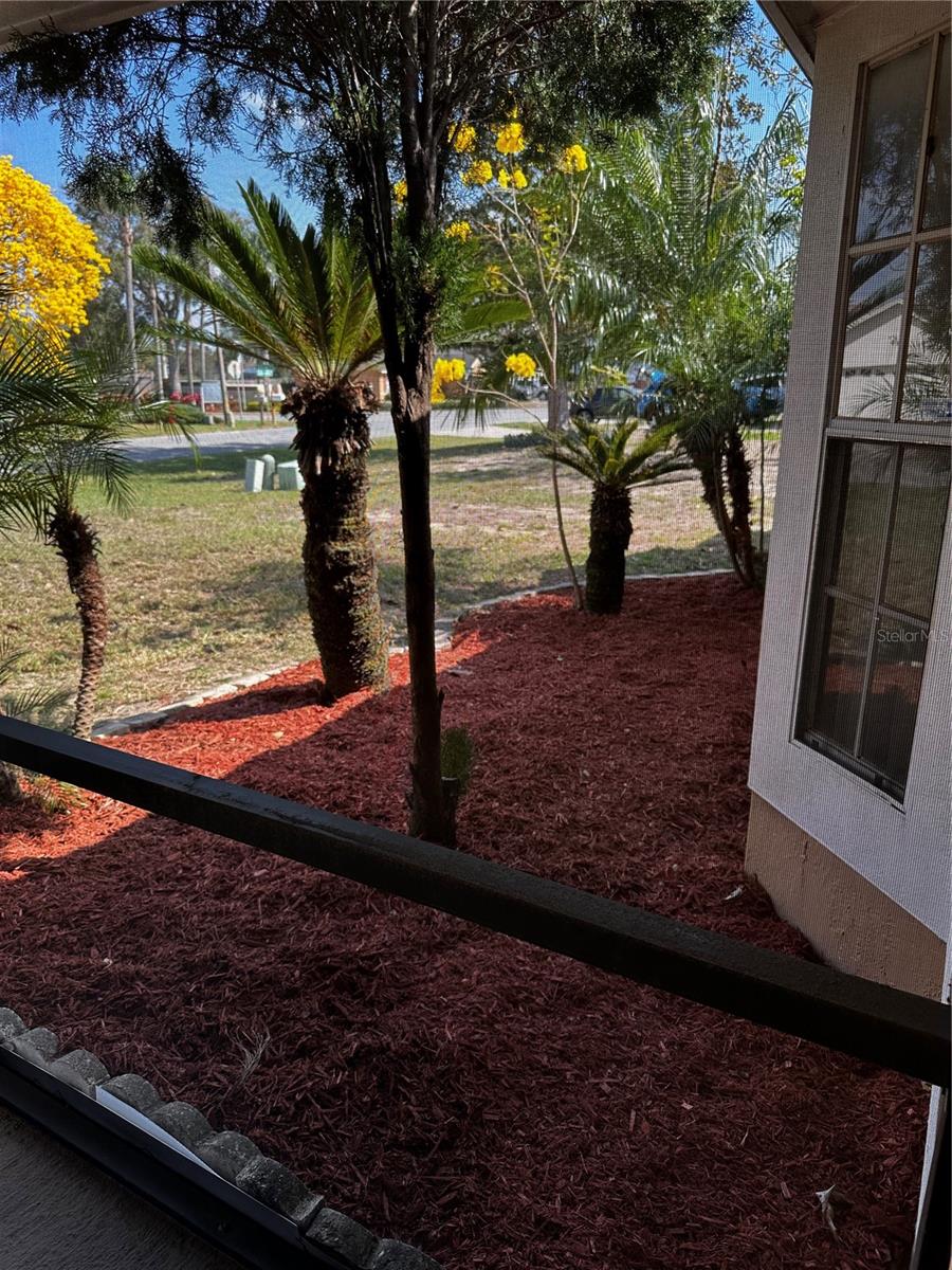 121 LOMA BONITA DR, DAVENPORT, FL — photo 12