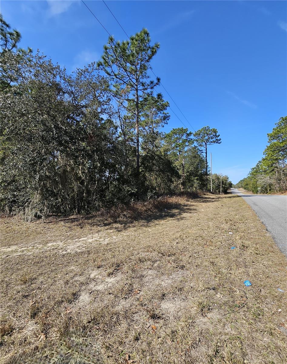 2914 W NAEGELIA PL, CITRUS SPRINGS, FL — photo 12
