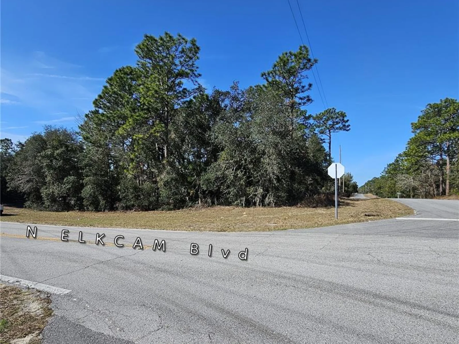 2914 W NAEGELIA PL, CITRUS SPRINGS, FL — photo 2