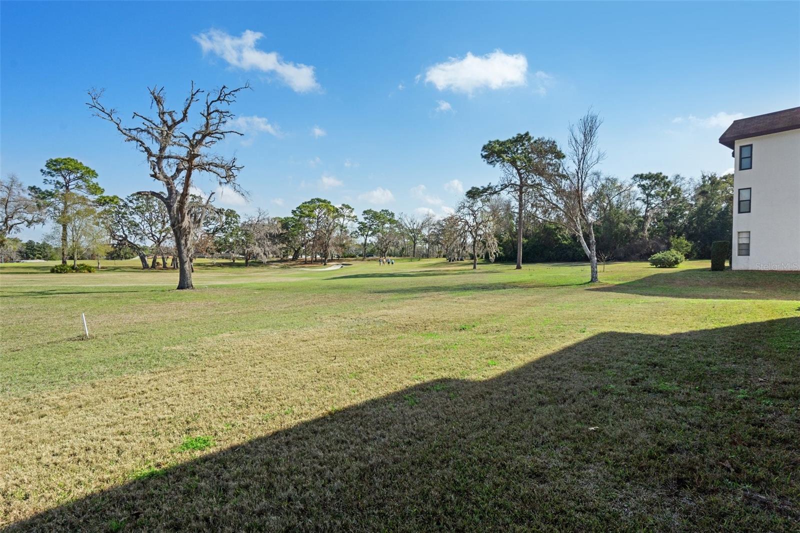 3 CYPRESS RUN #35A, HOMOSASSA, FL — photo 41