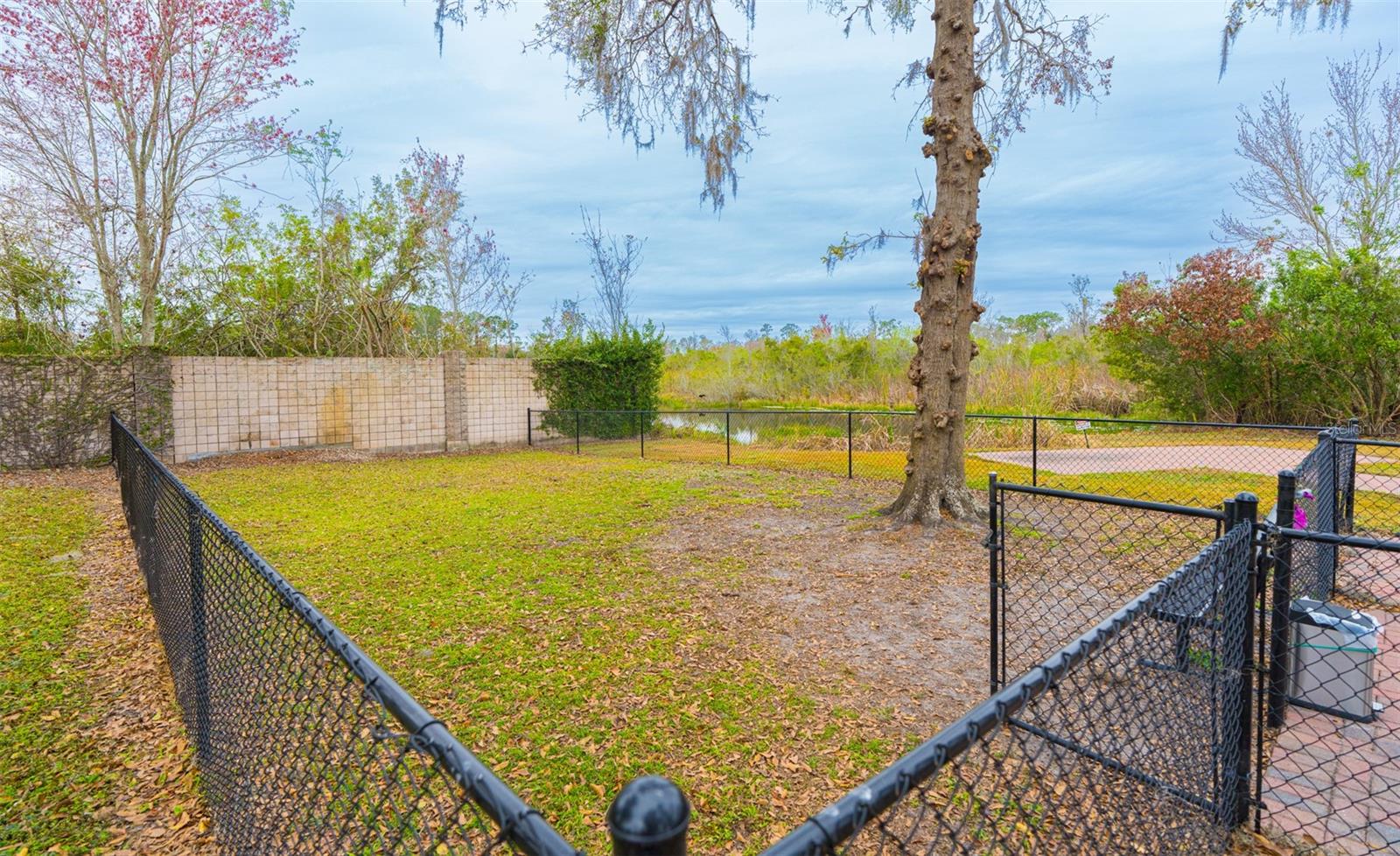 6770 AMANDA VISTA CIR, LAND O LAKES, FL — photo 78