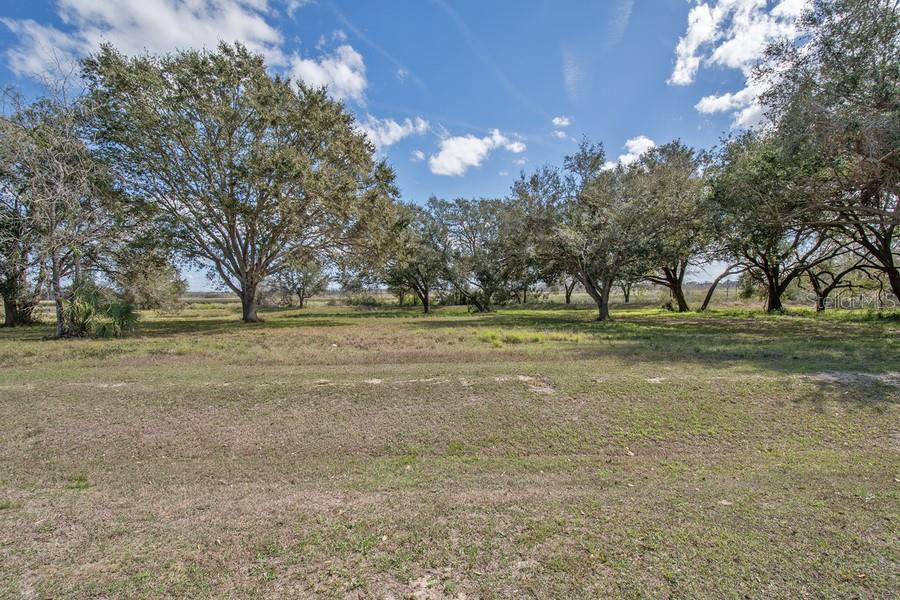 ROYAL PALM DR, GROVELAND, FL — photo 5