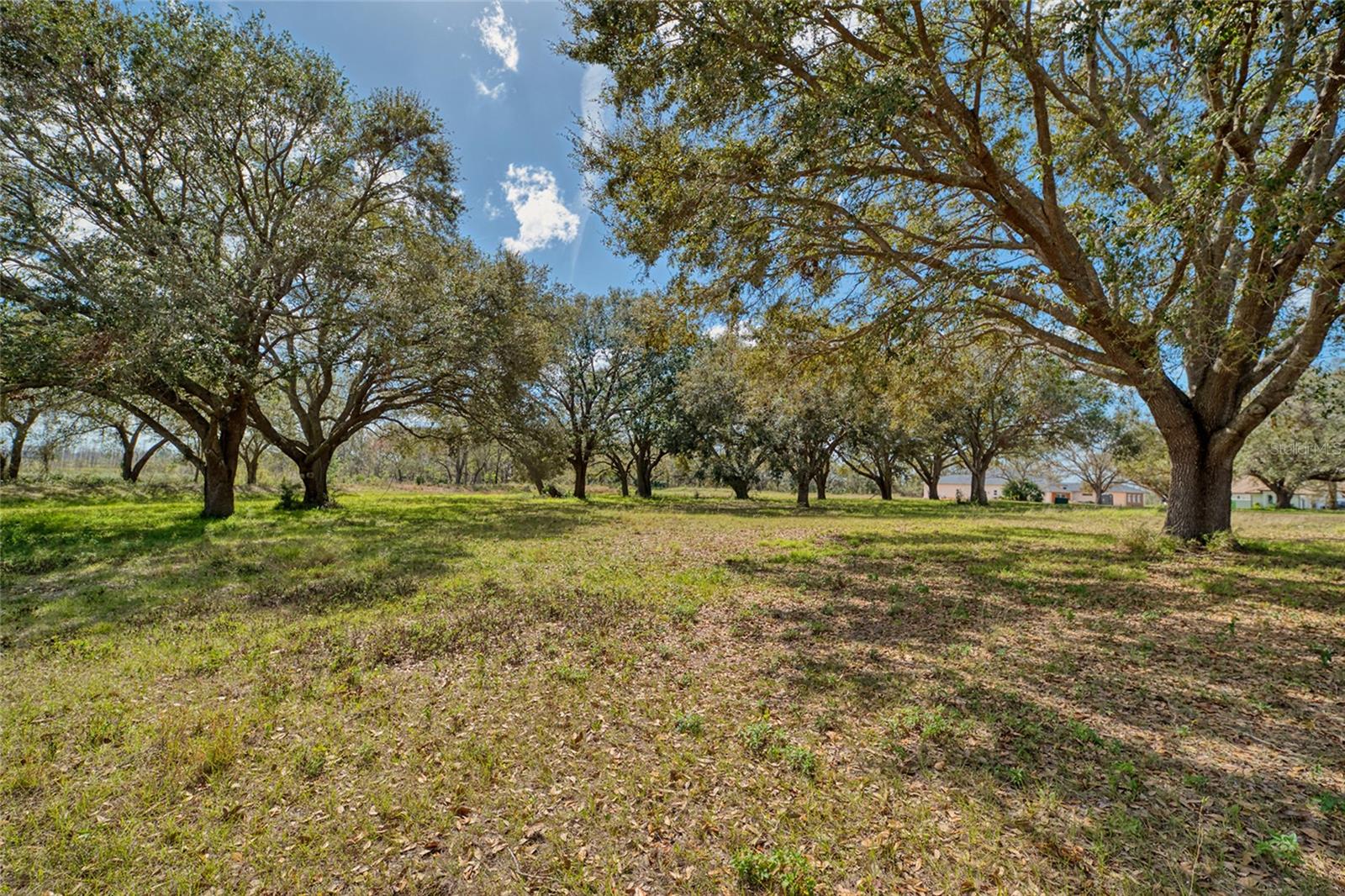 ROYAL PALM DR, GROVELAND, FL — photo 7