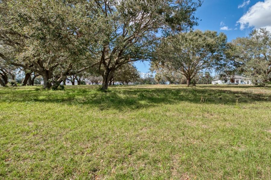 ROYAL PALM DR, GROVELAND, FL — photo 10