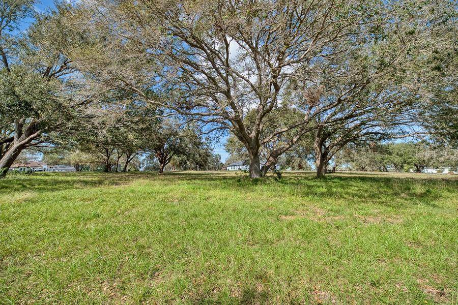 ROYAL PALM DR, GROVELAND, FL — photo 12