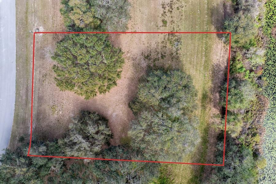 ROYAL PALM DR, GROVELAND, FL — photo 13