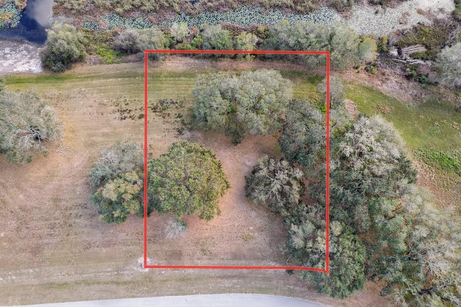 ROYAL PALM DR, GROVELAND, FL — photo 15