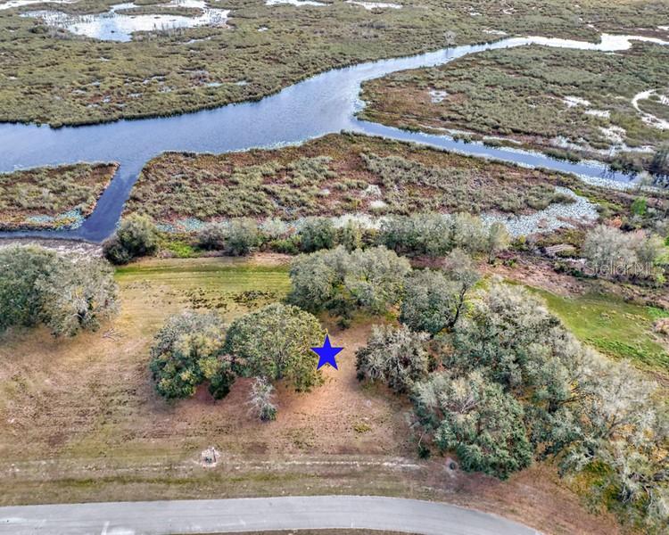 ROYAL PALM DR, GROVELAND, FL — photo 20
