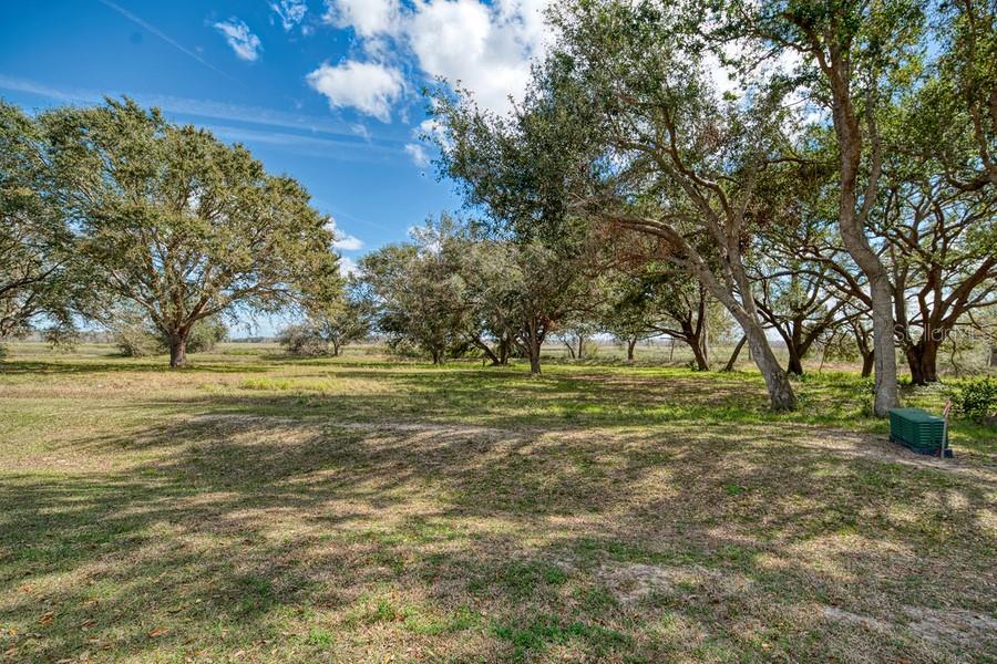 ROYAL PALM DR, GROVELAND, FL — photo 24