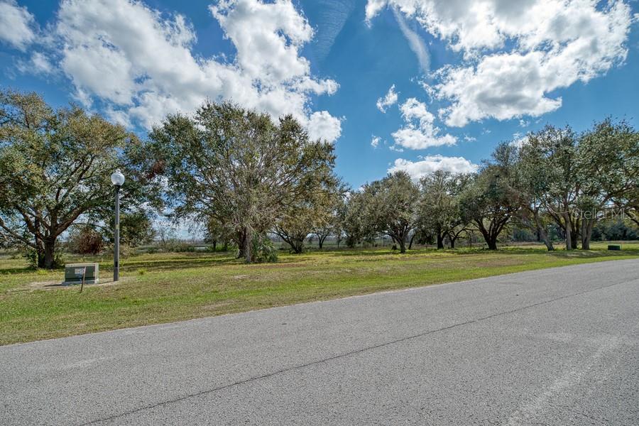 ROYAL PALM DR, GROVELAND, FL — photo 25