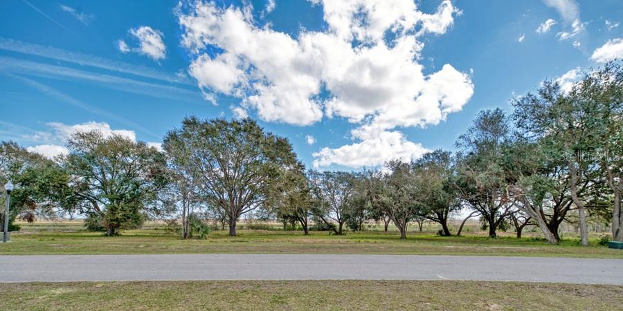 ROYAL PALM DR, GROVELAND, FL — photo 28