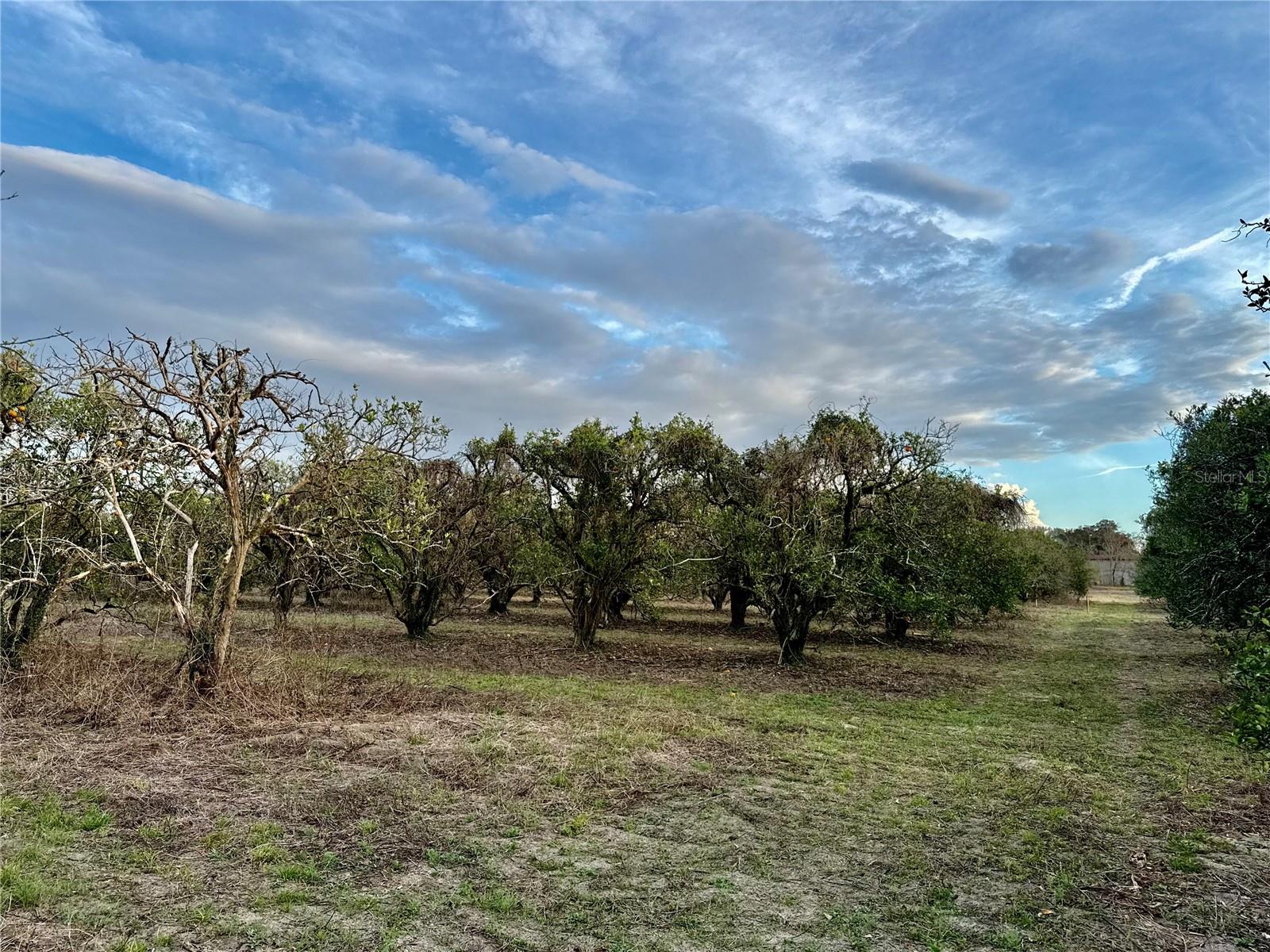 0 SE 165TH AVE, WEIRSDALE, FL
