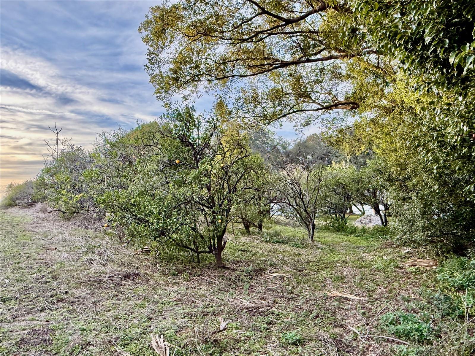 0 SE 165TH AVE, WEIRSDALE, FL — photo 3